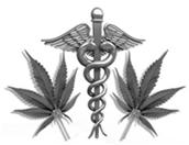 Medical Marijuana Minnesota New York Ohio Pennsylvania 5 States where Medical Marijuana Legislation has