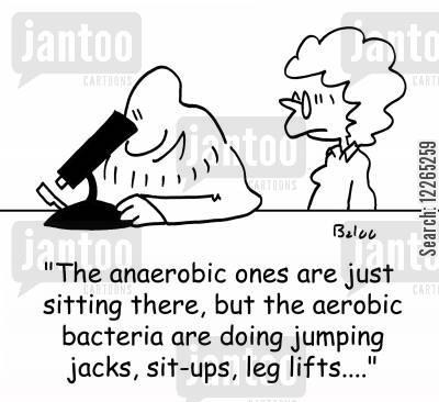 Some important vocabulary Aerobic: in or with
