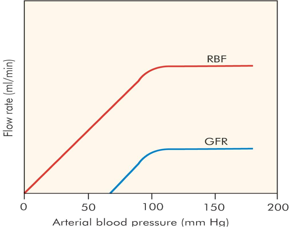 RBF Flow rate (ml / min) GFR