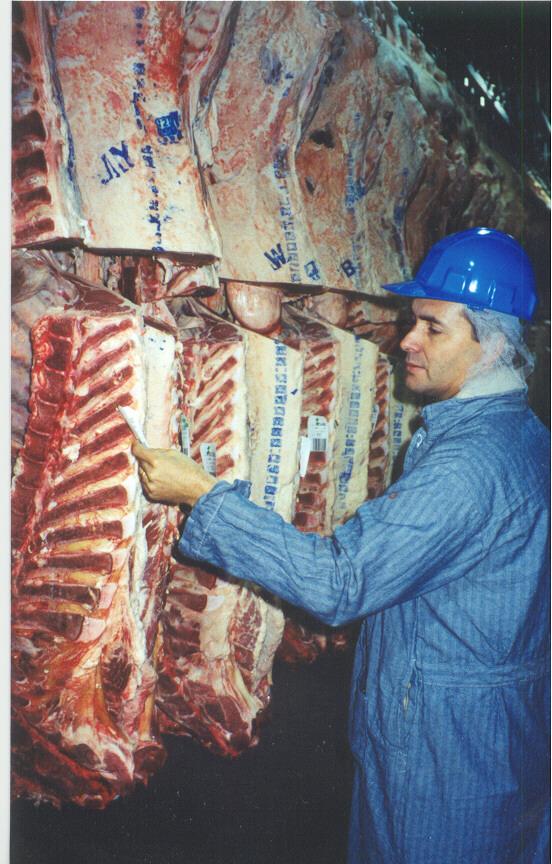 extension.usu.edu January 2005 AG/Beef/2005-03 BEEF QUALITY AND YIELD GRADING D. R. ZoBell, D.