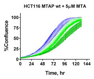MTAP wt MTAP null MTAP null IncuCyte continuous growth assay 3 nm