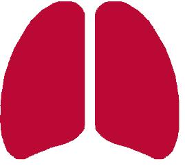 Small cell lung cancer