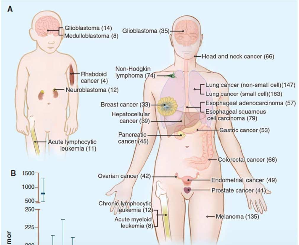 NSCLC and SCLC are