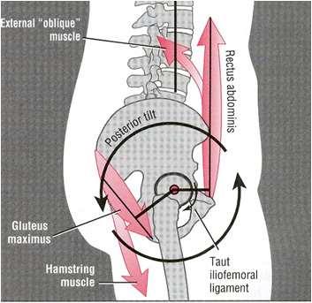 position of the lumbar spine