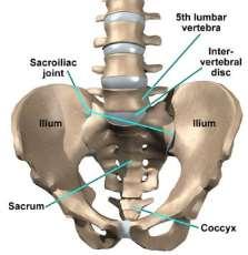 If one ilium is rotated forward on the sacrum, back pain may