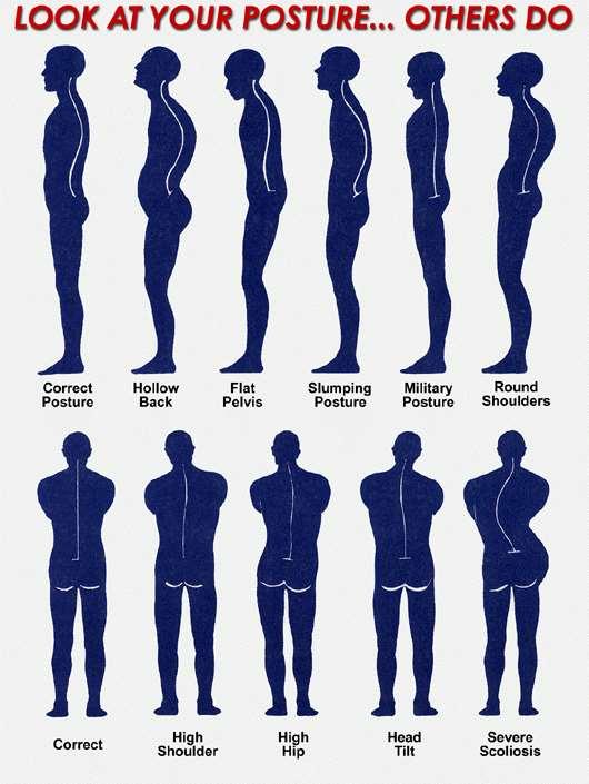 Standing Posture Posterior view Scapula &