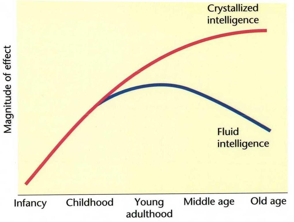 ADULTHOOD Changes in specific intellectual abilities Crystallized intelligence (acquired knowledge of vocabulary, verbal skills, cultural knowledge, and factual information) remains the same or