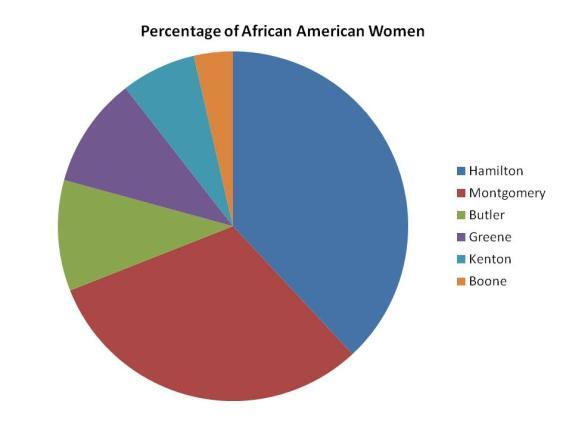 Hispanic/Latina migrant workers residing in rural farming communities). Figure 15. African American Women, by county (Top six counties) Figure 16.