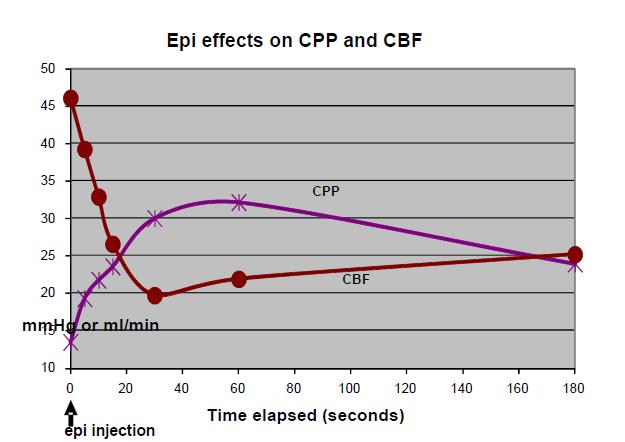 Cerebral Blood Flow with Epi 50 CBF ml/min 45 40 35 30 25 20 15 10 5 0 CBF before Epi CBF 30 sed after Epi CBF ml/min This persisted for