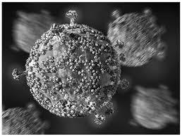 Onclytic viruses, vaccines Immune