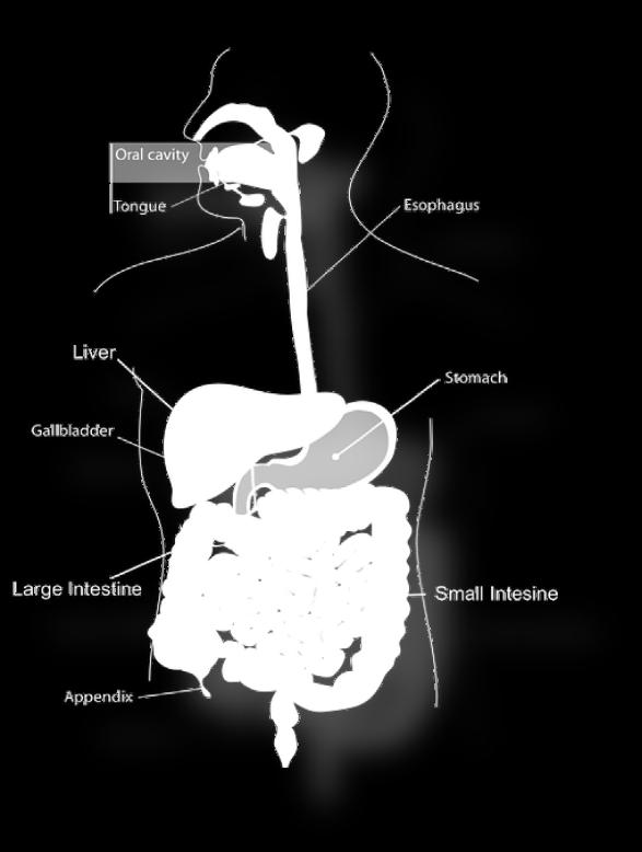 diarrhea (may have presence of blood, water, or mucus) Rectal