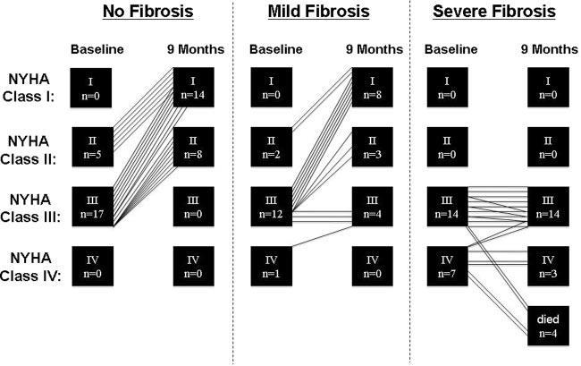 Direct relationship between myocardial fibrosis and longitudinal function