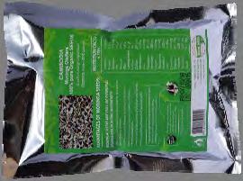 Moringa Normal Seeds Natural 100 gram