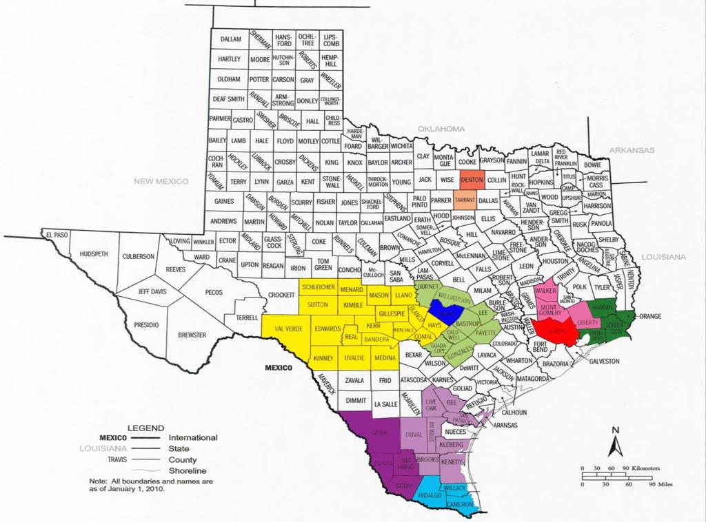 Zero Suicide in Texas (ZEST) Collaborative Call: January