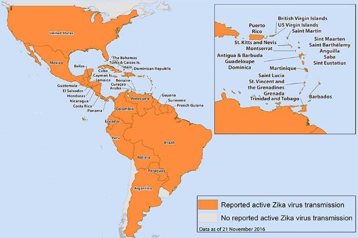 Here's Really Where Zika Mosquitoes are Likely in the U.S. Yellow: A.