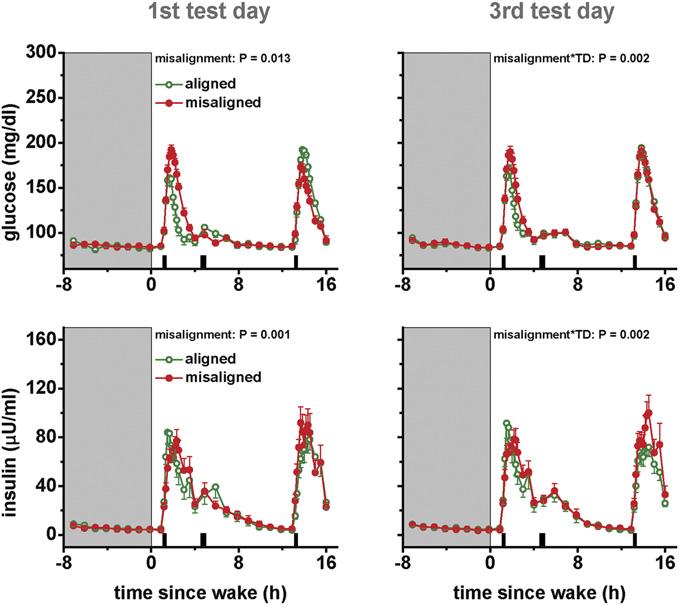 Fig. 5. Effects of circadian misalignment on 24-h glucose and insulin levels. TD, test day; gray bar represents sleep opportunity; black bar represents a meal.