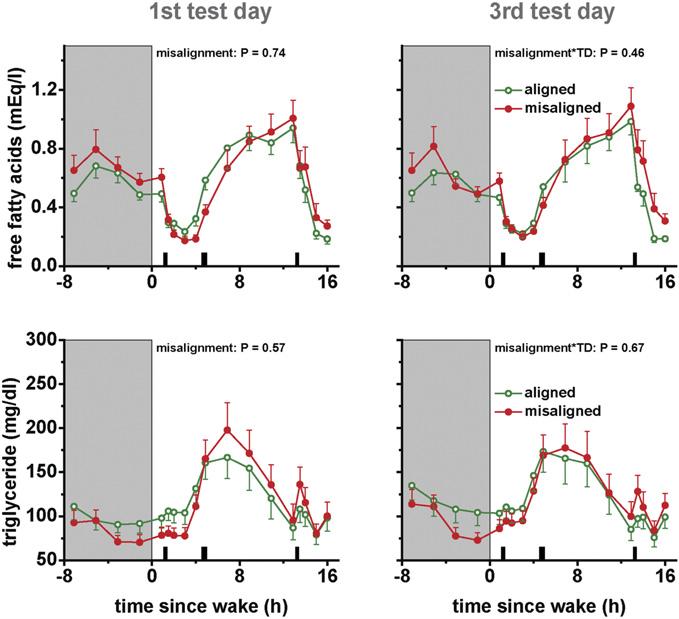 Early-phase postprandial insulin AUC was 27% lower in the biological evening than in the biological morning (P < 0.0001). Similar results were found for early-phase postprandial ISR AUC.