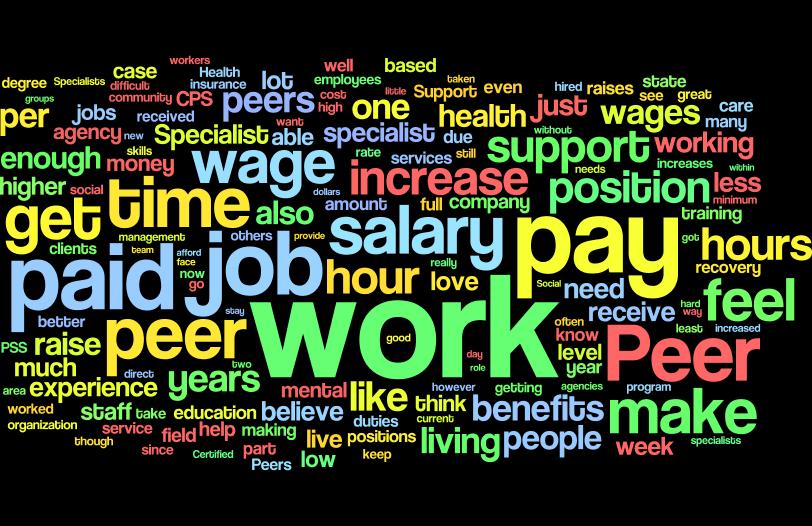 National Survey of Compensation Among Peer Support Specialists The word cloud graphic used in this report is a visual summary of comments provided by peer