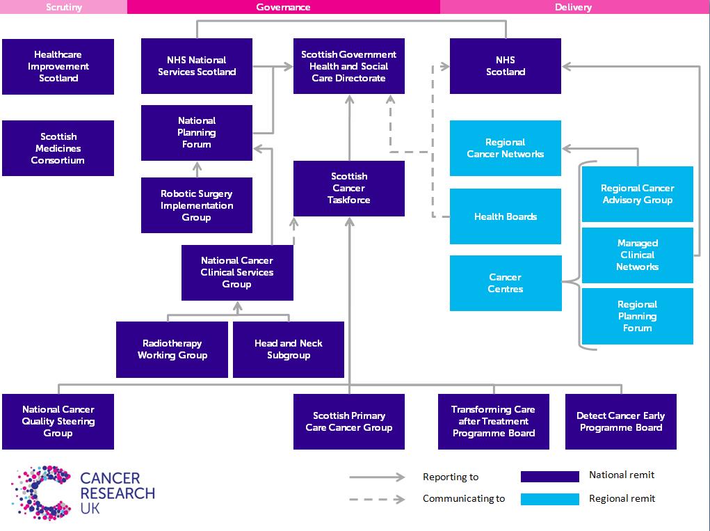 FIGURE 11: SCHEMATIC SHOWING CANCER LEADERSHIP STRUCTURE