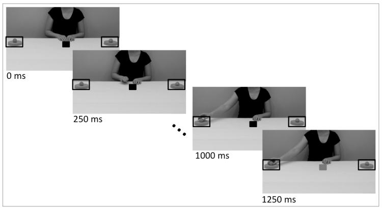 Figure 1: Still images showing the stimulus video of reaching actions with the cue and response targets overlaid.