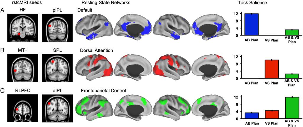 Fig. 4. Resting-state functional connectivity analysis.