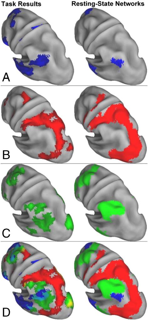 R.N. Spreng et al. / NeuroImage 53 (2010) 303 317 313 Fig. 5. Lateral parietal view of the PLS and rsfcmri results.