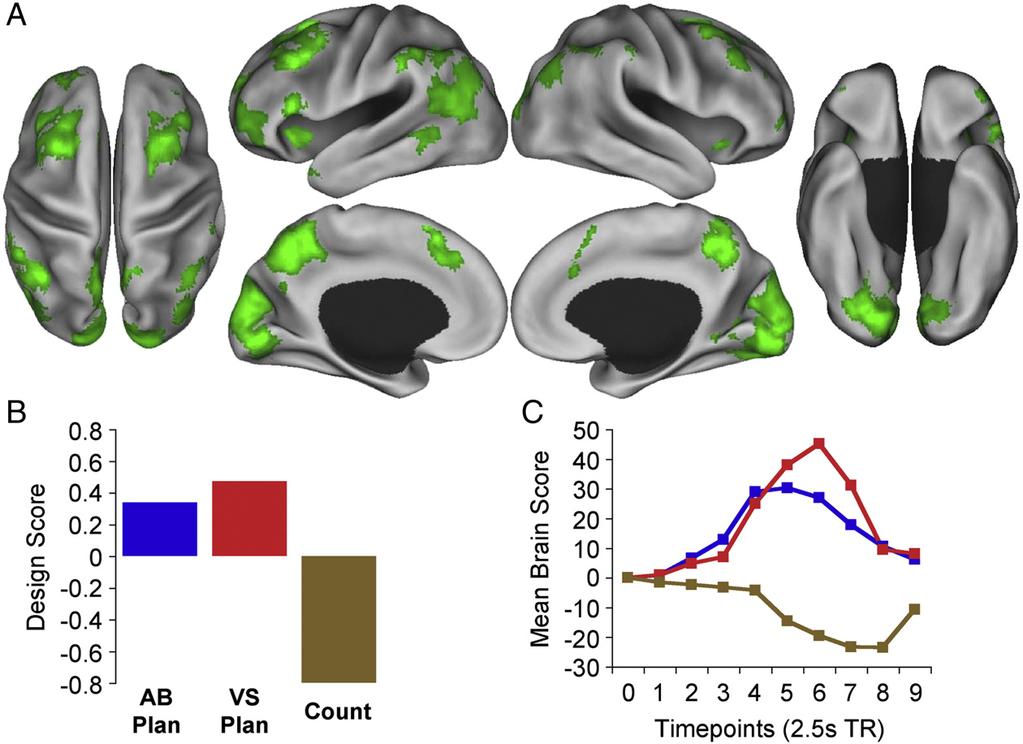 308 R.N. Spreng et al. / NeuroImage 53 (2010) 303 317 Fig. 3. Task-related brain activity in the frontoparietal control network is common to both planning tasks.