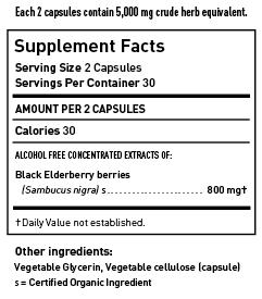 Black Elderberry Supports a Healthy immune Response: Black Elderberry ac;vates a healthy immune response when you most need it.