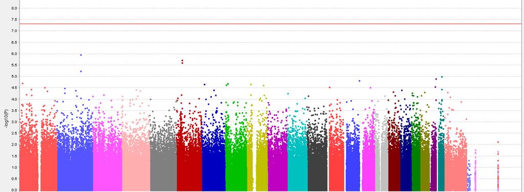 GWAS of 2011 Fibromyalgia Survey Score does not reveal any significant associations n = 26,749