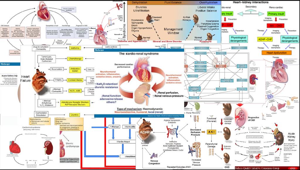 Pathophysiology of Cardiorenal Syndrome Low Cardiac Output?