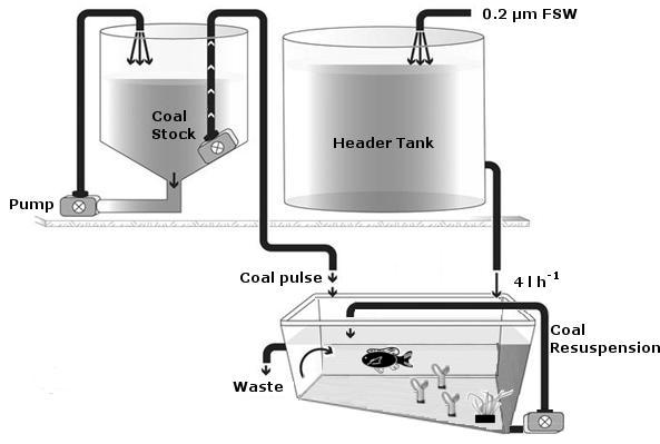 Experimental system The flow-through coal delivery system was based on that described in Flores et al. 2 (Fig. S3).