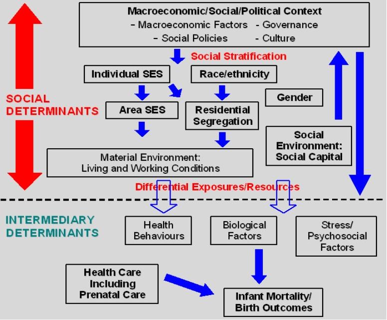 Social Determinants and Intermediary