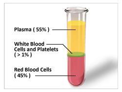 Blood components: Components of blood: