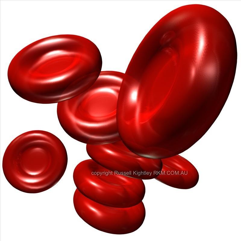 Red blood cells (erythrocytes) Produced in the bone marrow.