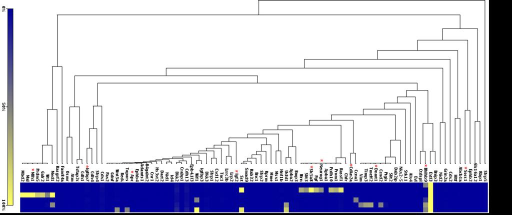 Figure 5.1 Hierarchial clustering of samples based on similarity between methylation levels.