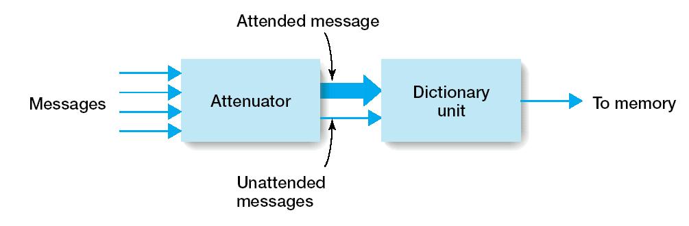 Treisman s attenuation theory 2-stage process: Attenuator: Analyzes physical characteristics and possibly meaning Only uses what is necessary Dictionary unit: Decide if reached threshold for output