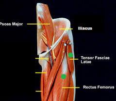 Anterior/Lateral
