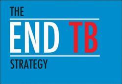 attainment of the End TB Strategy targets Minimize