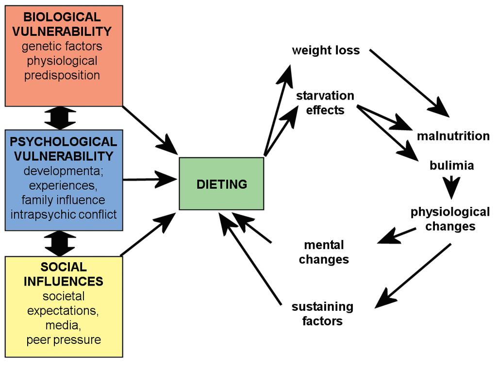 The close link between the two variations of disorder can be seen, the main variable being the areas of malnutrition and bulimia.