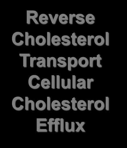 Cholesterol Transport Cellular Cholesterol Efflux