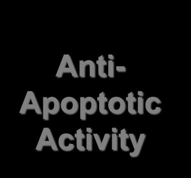 Activity Anti- Apoptotic Activity Kontush A, Chapman
