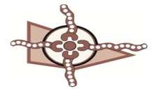 Victorian Aboriginal Community Controlled Health Organisation (VACCHO), 3 Indigenous Eye