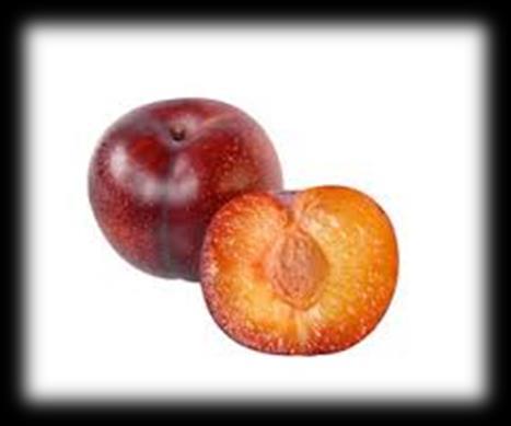 MATERIALS AND METHODS FRUIT DESCRIPTION Plum or Prunus domestica (Genus: Prunus, Family: Rosaceae), a fruit is known as dried plum in its dehydrated state.