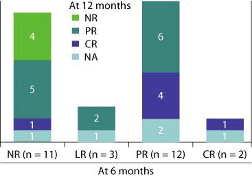 Among the 2 patients with CR at 6 months, 1 maintained CR and follow-up data are not available for 1 patient.