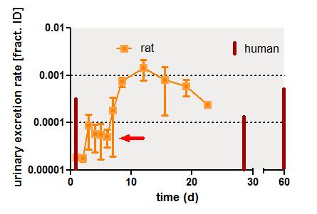 Similar biokinetics of blood + urine fractions in man and rat after inhalation of 18 nm AuNP Measured Au contents in total blood and 24-hour urine samples are normalized to the initial AuNP deposit