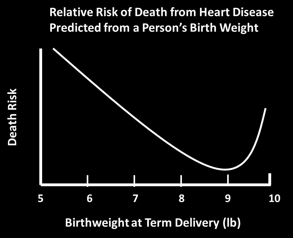 Early Life Programming of Chronic Disease Birthweight