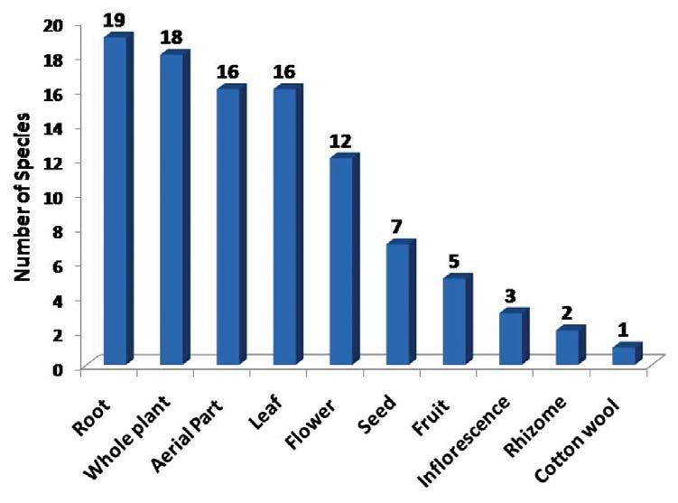 93 Figure 3: Number of plant species used to cure different ailments.