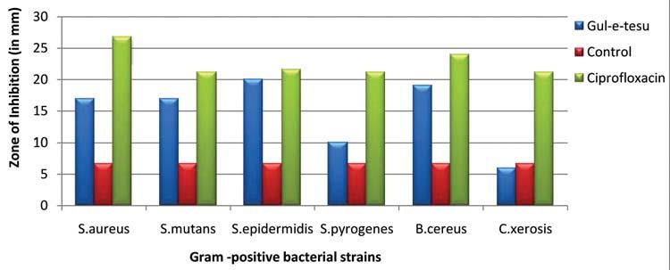 30 Figure 2(a): Antibacterial activity of Gul-e-Tesu against Gram positive bacterial strains Figure 2(b): Antibacterial activity of Gul-e-Tesu against Gram negative bacterial strains and Gentamicin