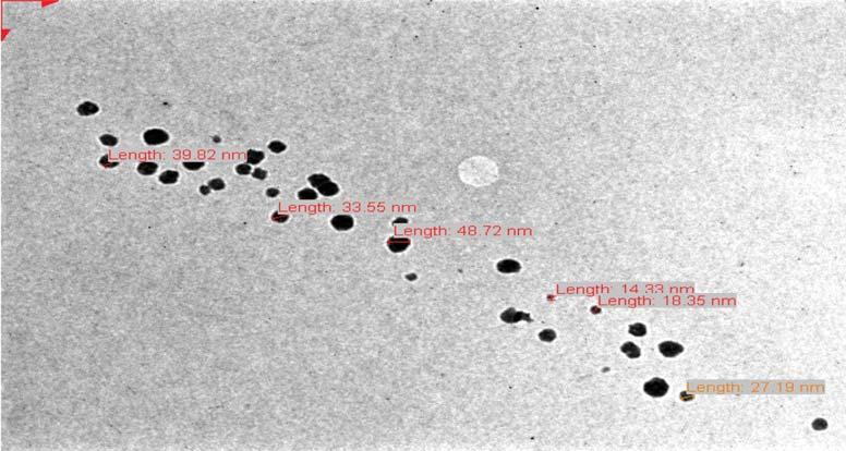 75 Figure 8: TEM micrograph of Kushta-e-Faulad prepared by modern method, magnification of 11K.