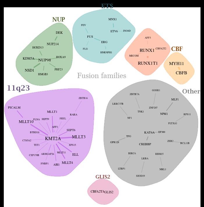 Figure S17. Summary view of the key fusion classes in pediatric AML. Each colored region represents a fusion family. Descriptive labels are written adjacent to each family.